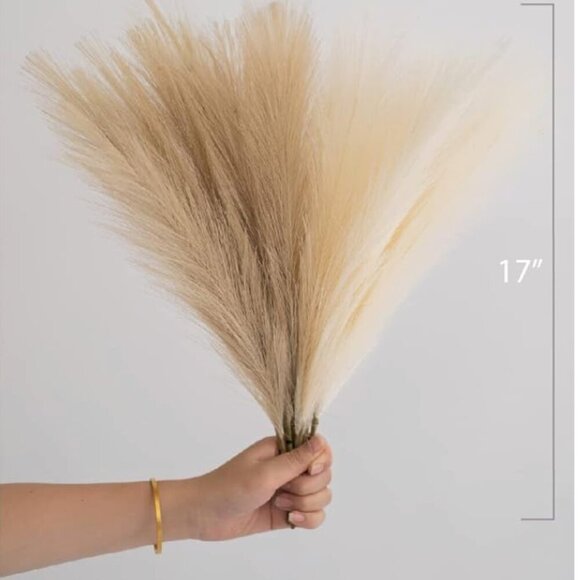 12 - 17" Pampas Grass Decor Beige/Brown/Tan - Picture 2 of 6